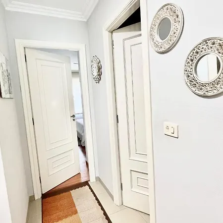 Naval * 이슬라 데 아로사